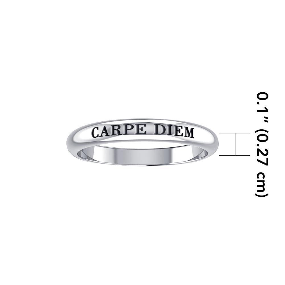 Simplicity is beauty ~ Sterling Silver Celtic Knotwork Spinner Ring TRI687