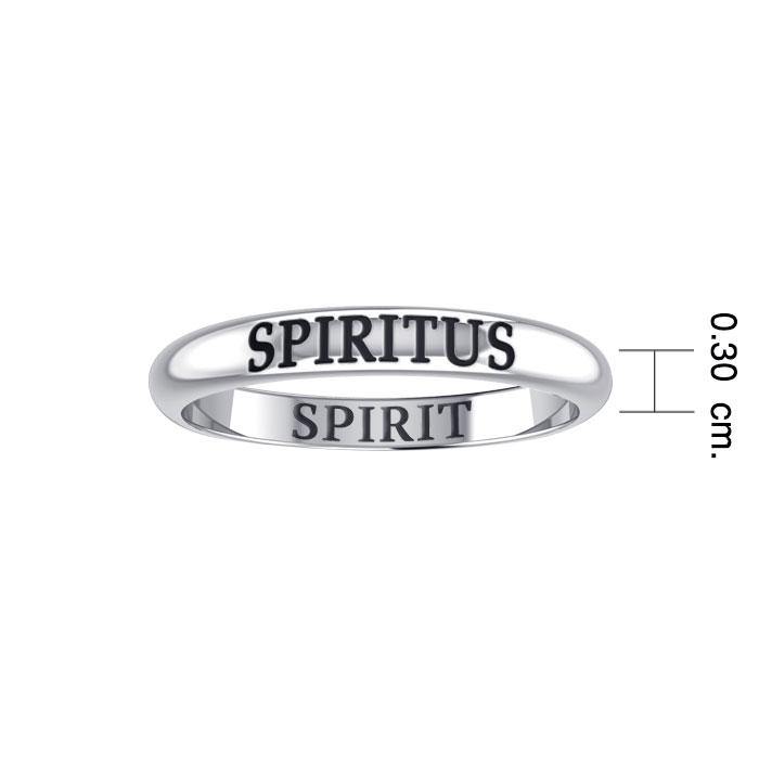 Beyond a lifetime symbolism ~ Sterling Silver Celtic Knotwork Ring with Gemstone TRI750